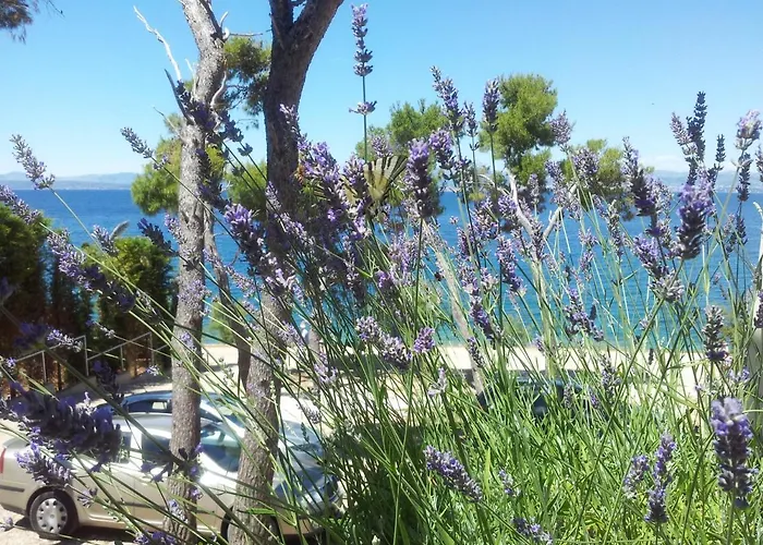 La Riva - Seafront *